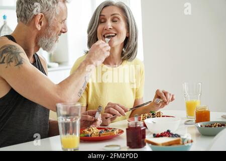 Older husband feeding mature wife tasting waffles having breakfast at home. Stock Photo