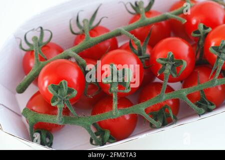 Organic cherry tomatoes in a paper box. Close up. Stock Photo