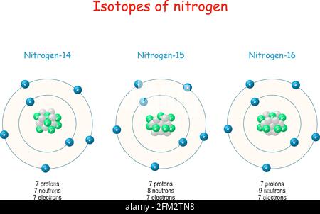 Nitrogen isotopes. structure of Atom. Labeled scheme with particles (protons, neutrons and electrons). vector illustration for science, education Stock Vector
