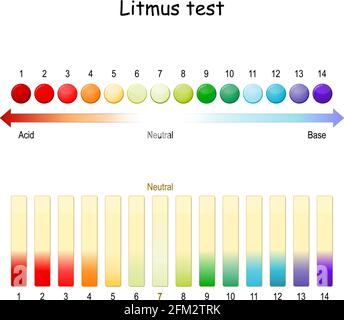 Litmus test. ph scale. Use of litmus paper for test whether a solution is acidic or basic. paper turns red under acidic conditions, and turns blue Stock Vector