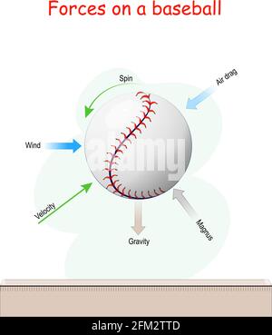 Forces acting baseball in flight: Gravity, wind, Velocity, spin, Air drag, and Magnus Force. Vector illustration Stock Vector Image & Art - Alamy