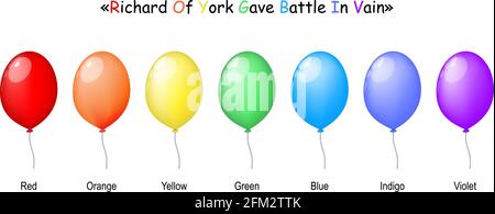 Colorful realistic balloons: red yellow orange green blue indigo and violet ballons. acronym for the sequence of hues commonly described as making up Stock Vector