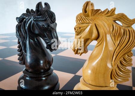 Chess piece knight Black and White Stock Photos & Images - Alamy