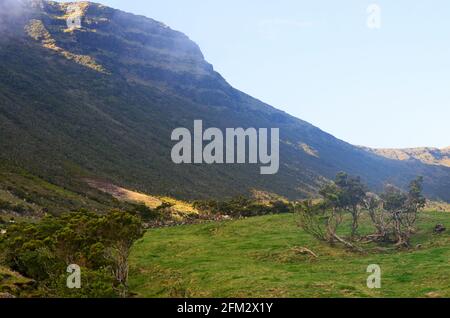 Rural landscapes in Pico volcano’s mid-slope, Azores archipelago, Portugal Stock Photo