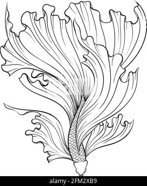 Siamese fighter fish line art Stock Vector