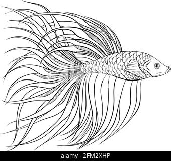 Siamese fighter fish side view line art Stock Vector