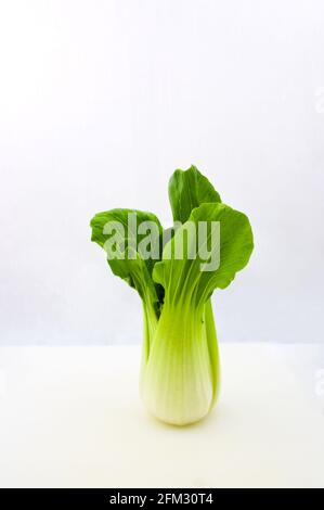 Vertical image of a Chinese cabbage on white background and copy space Stock Photo