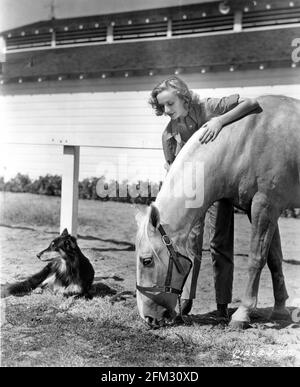 CAROLE LOMBARD 1937 candid portrait with PANCHO her black and tan Shepherd dog and her Palamino horse PICO on her ranch on the outskirts of Hollywood publicity for Paramount Pictures Stock Photo