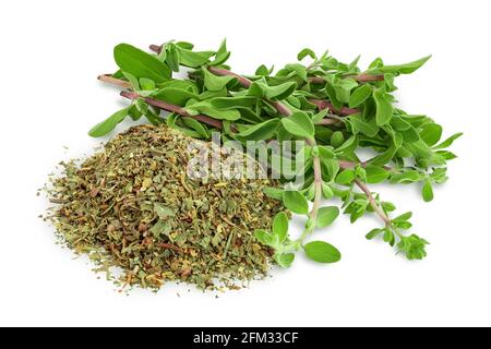 Oregano or marjoram leaves fresh and dry isolated on white background with clipping path and full depth of field. Stock Photo