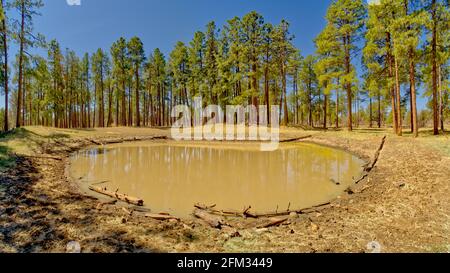 Dry Lake Tank, Mingus Mountain near Jerome, Arizona, USA Stock Photo