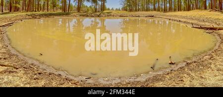 Dry Lake Tank, Mingus Mountain near Jerome, Arizona, USA Stock Photo