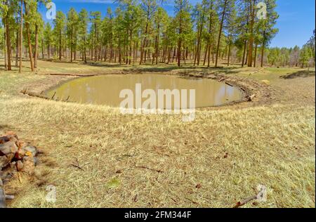 Dry Lake Tank, Mingus Mountain near Jerome, Arizona, USA Stock Photo