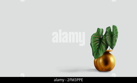 isolated gold pot with caladium multicolor leaf red strip on green leaves. Stock Photo