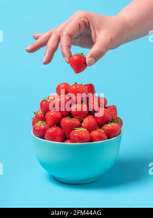 Bowl with fresh organic strawberries isolated on a blue background. Woman's hand taking a strawberry. Stock Photo