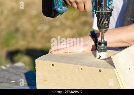 Hole saw for wood drills a hole in the birdhouse. a young master makes a birdhouse and drills a hole with a wood router Stock Photo