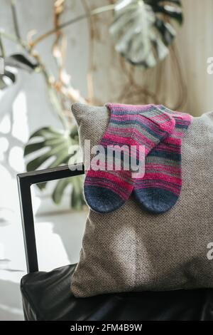 Pair of hand knitted socks on the sofa in a sunlight. Multi-colored socks. Stock Photo