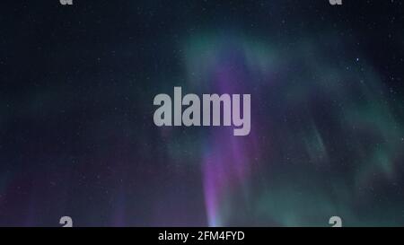 Beautiful straight Aurora Borealis - bright green magenta and purple vertical light stripes on clear without clouds starry black night sky. A lot of r Stock Photo