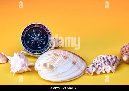 Compass and seashells on a bright yellow background, marine composition. Stock Photo