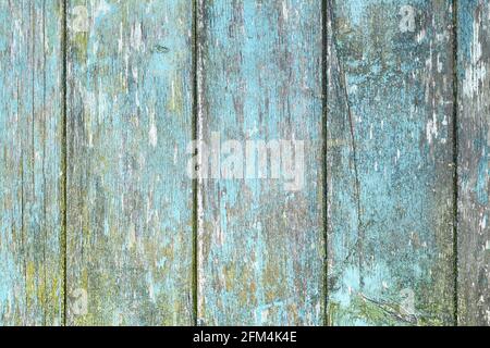 Wooden planks background with teal blue and yellow colored old weathered planks with chipped paint Stock Photo