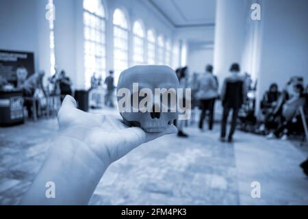 Skull printed on 3d printer in man's hand. On the back of a blurry plan - people Stock Photo