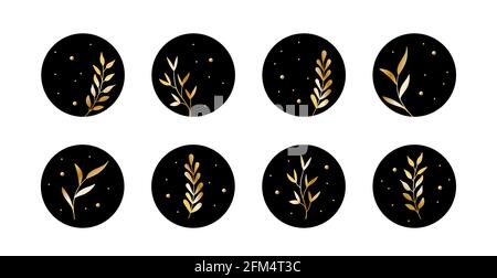 Vector highlight story cover icons for social media. Abstract black circle backgrounds with golden leaves for instagram Stock Vector