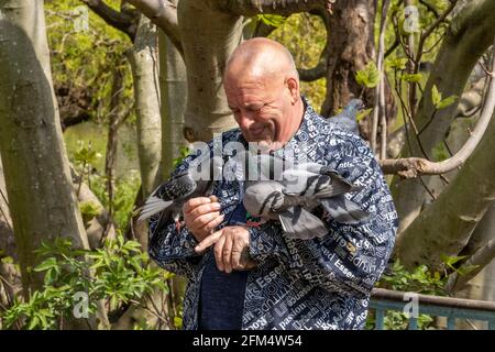 LONDON, UK – 01st May 2021: An eccentric elderly man is seen with pigeons perched on his arms as he feeds the birds in a local park. Stock Photo