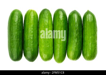 Snack cucumbers in a row, from above. Fresh, small, young and whole cucumber fruits, lined up close together. Cucumis sativus, a vegetable. Stock Photo
