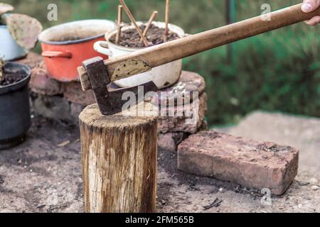 Old ax in a wood stump outdoor in the village on sunny spring day Stock Photo