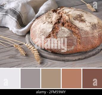 Color matching palette from No knead handmade loaf on wood with linen towel, dinkel ears. Wholemeal rye wheat bread baked in Duch oven at home.