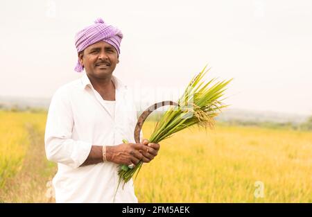 Happy Indian farmer Holding sickle and Paddy crop in hand - Concept good crop yields due to monsoon rains. Stock Photo