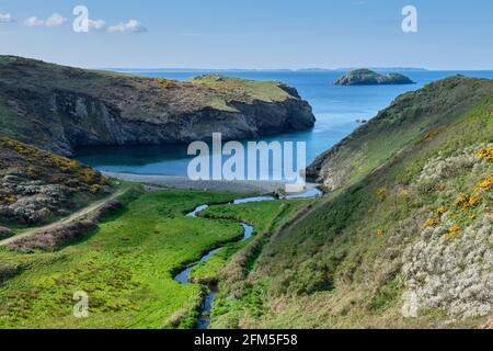 Gwadn Bay, overlooking Green Scar And Skomer Island, at Solva, Pembrokeshire, Wales Stock Photo