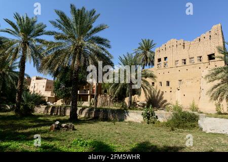 Old section with abandoned ruined houses in the town Al Hamra with some palm trees of a date plantation. Ad Dakhiliyah Region, Oman. Stock Photo