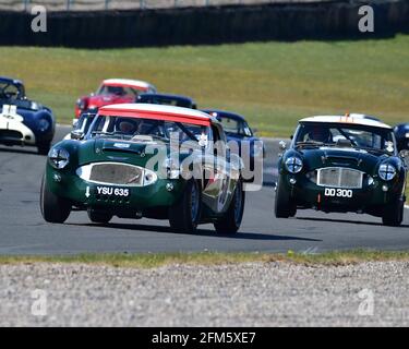 David Smithies, Chris Clarkson, Mark Pangborn, Austin Healey 3000 Mk I, RAC Pall Mall Cup for Pre-66 GT, Sports Racing and Touring Cars, Donington His Stock Photo