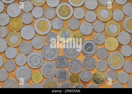 Polish zloty coins on a background with a wood texture in a photographic close-up. Near Stock Photo