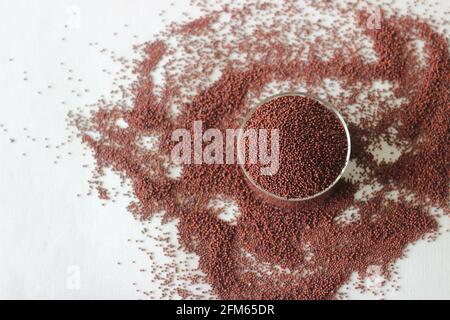 Eleusine coracana grain or finger millet, also known as ragi in India, kodo in Nepal. It is an annual herbaceous plant widely grown as a cereal crop i Stock Photo