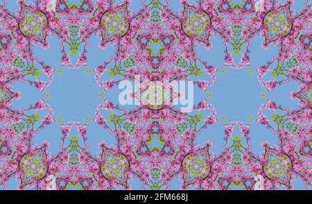 Abstract Seamless Geometric Spring Flowers Patterns Kaleidoscope Stock Photo
