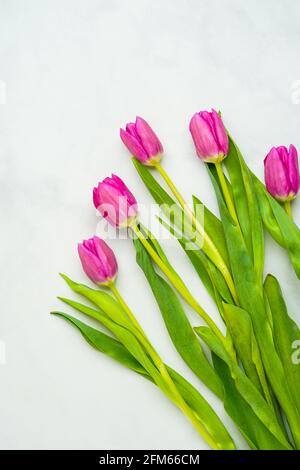 Pink tulips on a marble background Stock Photo