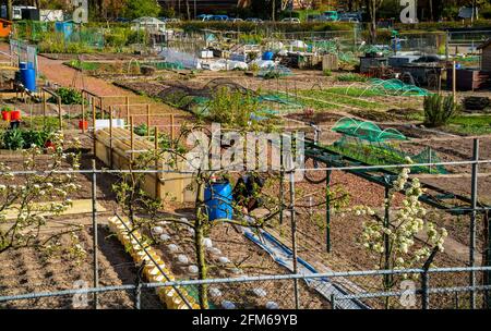 Panoramic view of allotment gardens in the city Stock Photo