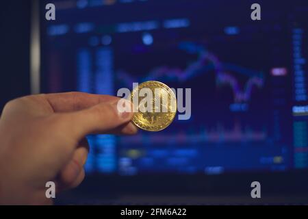 A man holds a gold bitcoin coin in his hand. The graphs of changes in cryptocurrency rates are shown on the laptop monitor Stock Photo