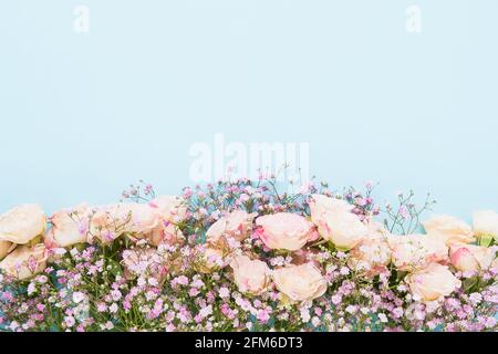 Pink roses and gypsophila flowers border on a light blue background, selective focus. Mothers Day, birthday celebration concept. Top view, copy space Stock Photo