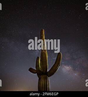 Stately Saguaro Cactus under the Milky Way Galaxy Stock Photo