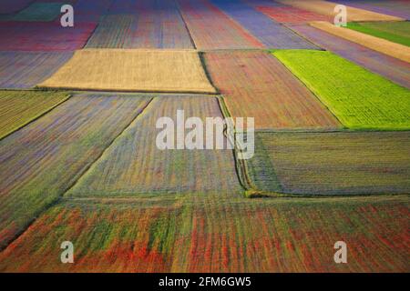 the wonderful color patchwork made in Castelluccio di Norcia into the Piana Grande in July Stock Photo