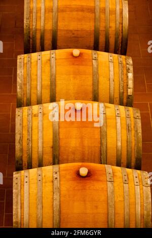 yellow winecellar for red wine in sicily full of their typical red grapes nerello mascalese Stock Photo