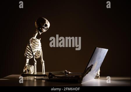 Artificial human skeleton sitting at a laptop, Concept of exhaustion at work Stock Photo