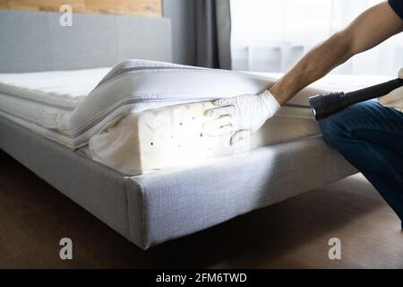 Bed Bug Infestation And Treatment Service. Bugs Extermination Stock Photo