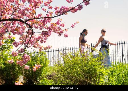 Woman training yoga in a park, cherry blossoms on background, May