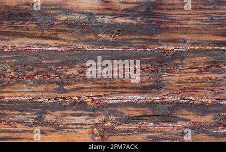 Dark wood texture background wall surface with old natural pattern Stock Photo