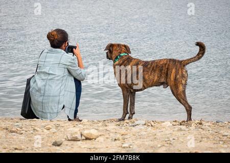 Young Latin Woman Sitting on the Riverbank Looking her Photos Next to Local Mongrel Dog in Guatape, Colombia Stock Photo