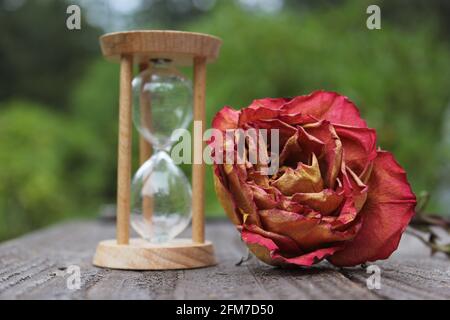 Dry Rose With Broken Hourglass outdoors on patio Stock Photo