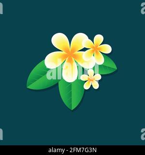 frangipani flowers with leaves isolated on dark background Stock Vector